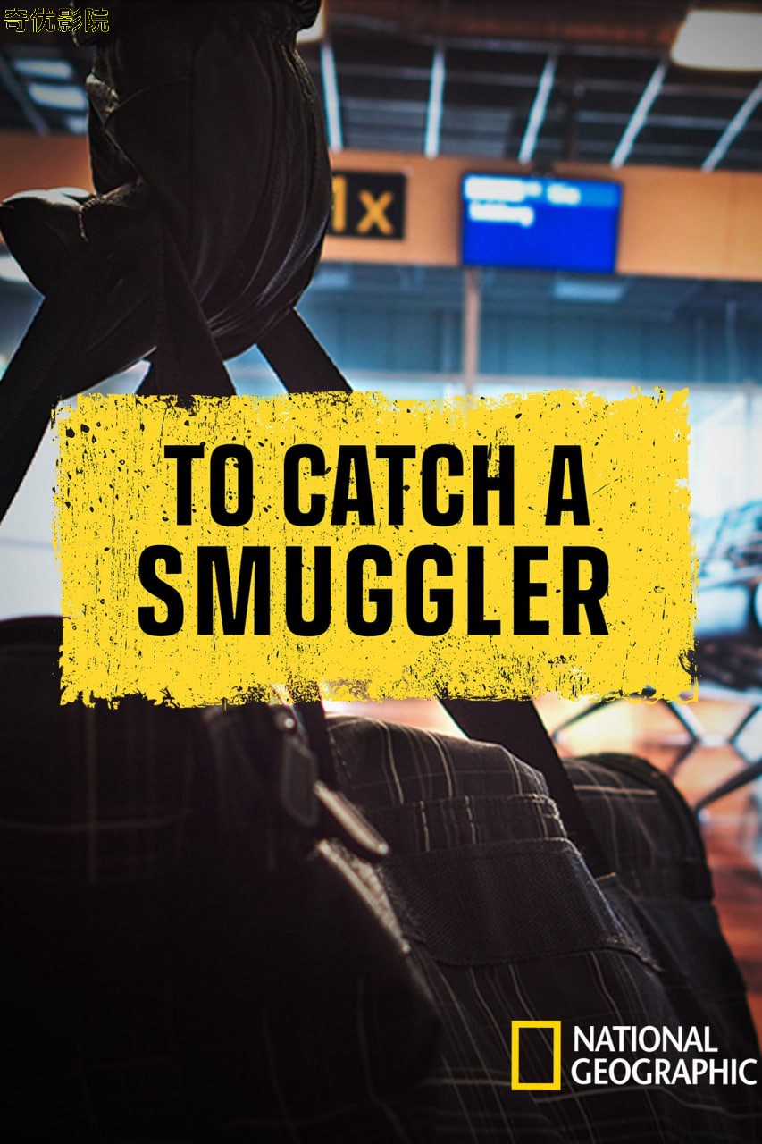 走私追缉令 第六季
